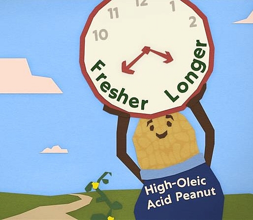 High Oleic Acid Peanut Illustration