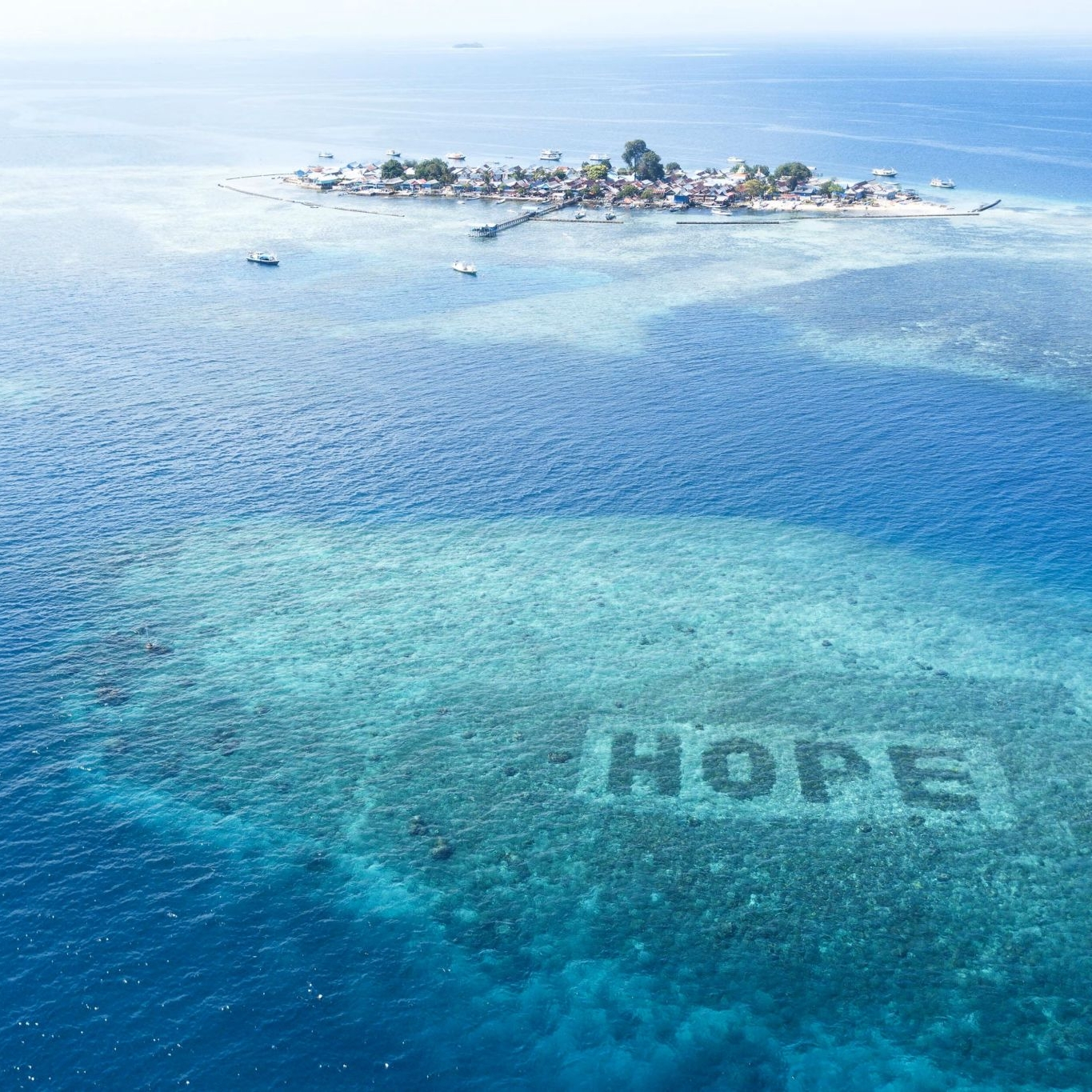 SHEBA Hope Reef
