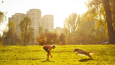 Woman and her dog playing in an urban park 