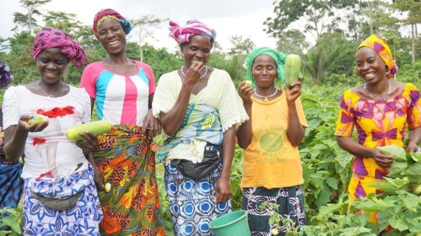 Five women who work on smallholder farms