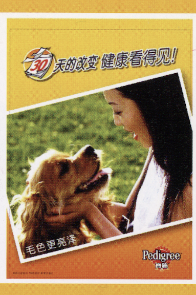 Pedigree China ad