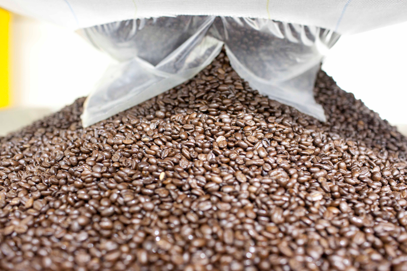 Large pile of coffee beans coming out of machine in a factory