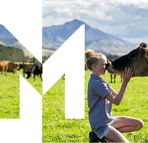 Child in field with dairy cow