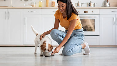 Woman feeding dog